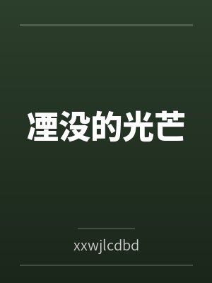 凐没的光芒笔趣阁无弹窗